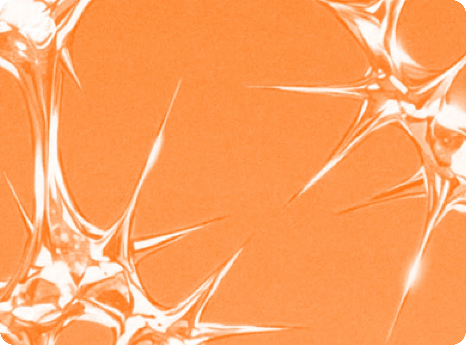 Official Website Launch