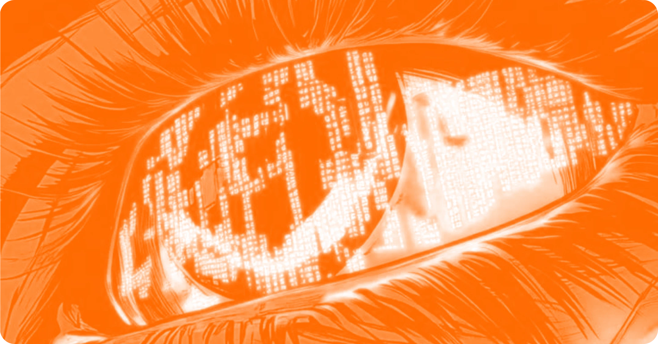 Multi-Layer Security